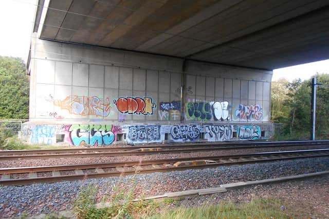 The Office of Rail and Road said there was "extensive graffiti on both sides of the railway boundary". (Picture: ORR)