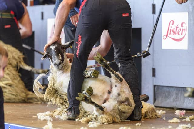 Royal Highland Show Pic: Ian Georgeson