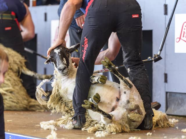 Royal Highland Show Pic: Ian Georgeson