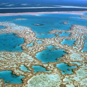 What does the 1.5 degrees global warming target mean for the world? Pictured: The Great Barrier Reef (Getty Images)