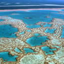 What does the 1.5 degrees global warming target mean for the world? Pictured: The Great Barrier Reef (Getty Images)