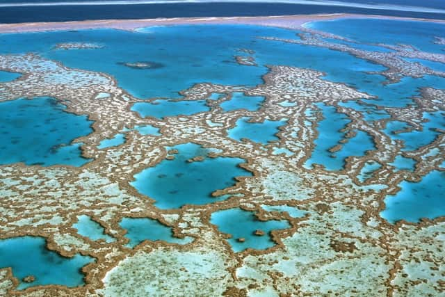 What does the 1.5 degrees global warming target mean for the world? Pictured: The Great Barrier Reef (Getty Images)