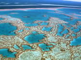 What does the 1.5 degrees global warming target mean for the world? Pictured: The Great Barrier Reef (Getty Images)