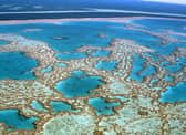 What does the 1.5 degrees global warming target mean for the world? Pictured: The Great Barrier Reef (Getty Images)