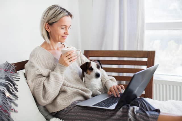 Use a speed checker if your pet is frustrated by the slowness with which amusing human memes appear on screen (Picture: Adobe)