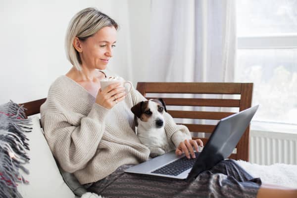 Use a speed checker if your pet is frustrated by the slowness with which amusing human memes appear on screen (Picture: Adobe)