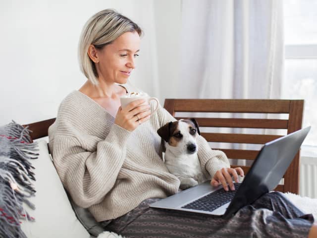 Use a speed checker if your pet is frustrated by the slowness with which amusing human memes appear on screen (Picture: Adobe)
