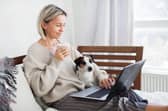 Use a speed checker if your pet is frustrated by the slowness with which amusing human memes appear on screen (Picture: Adobe)