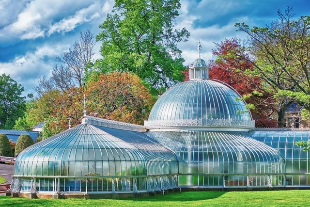 This is a botanical garden located in the West End of Glasgow which features multiple glasshouses with a variety of exotic plant life growing inside them - it is also free to enter. If you're not close to Glasgow then search online for botanical gardens in Scotland as there are several, including one in Edinburgh.