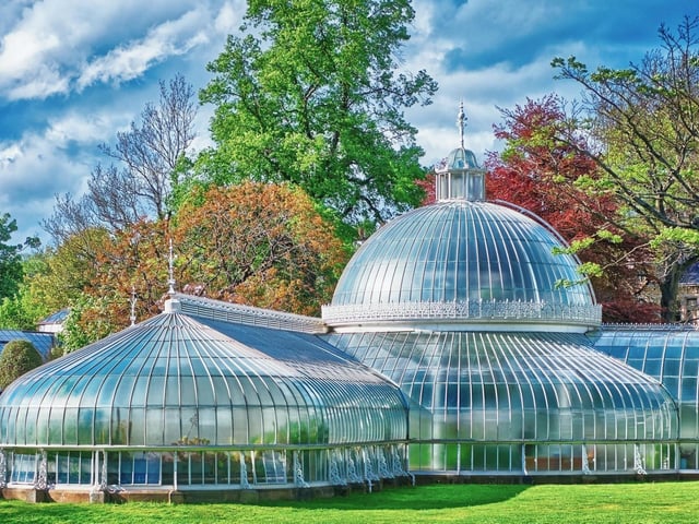 This is a botanical garden located in the West End of Glasgow which features multiple glasshouses with a variety of exotic plant life growing inside them - it is also free to enter. If you're not close to Glasgow then search online for botanical gardens in Scotland as there are several, including one in Edinburgh.