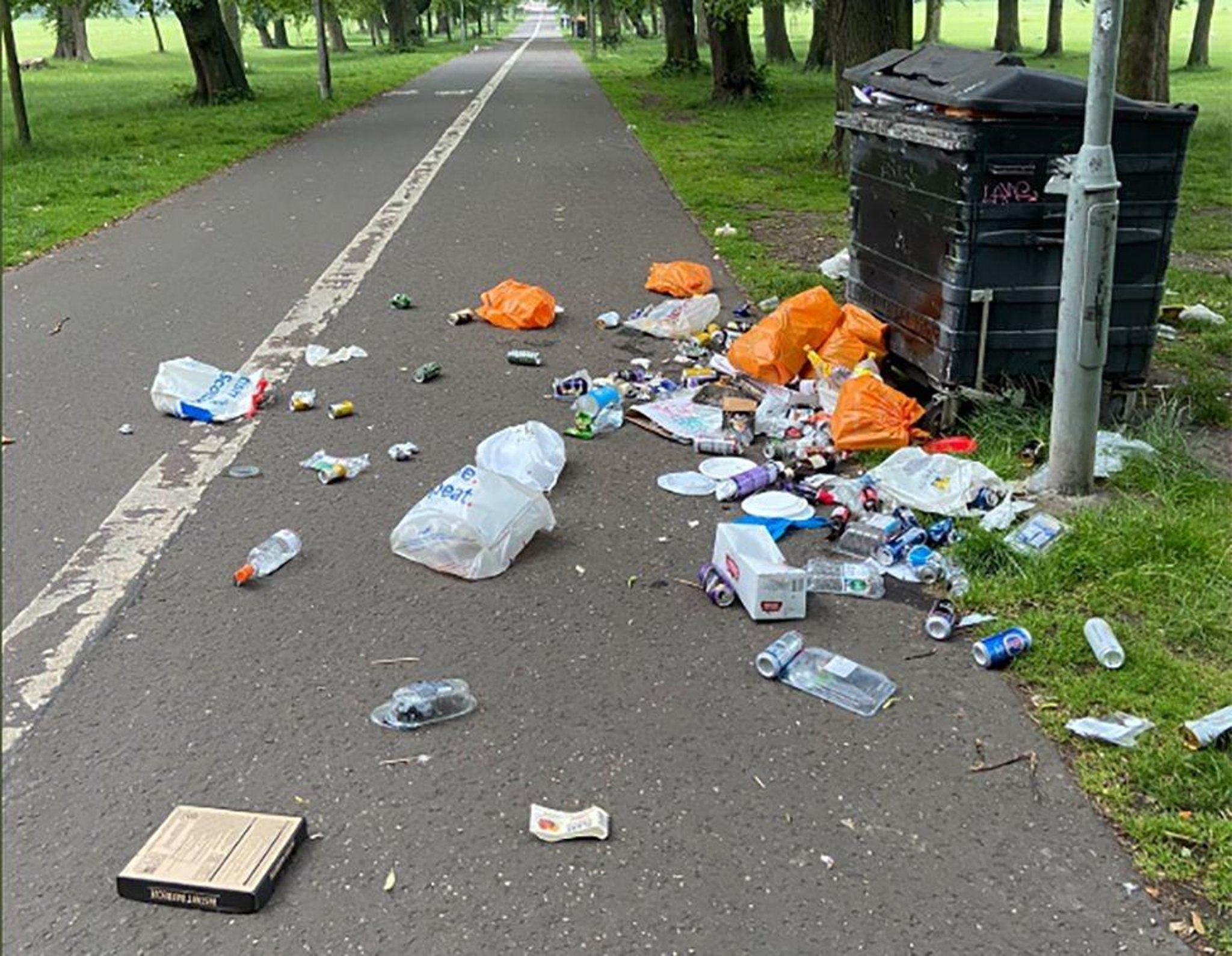 Coca-Cola, PepsiCo and Heineken products made up almost a quarter of branded litter