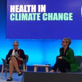 Gordon Brown speaking at a COP26 discussion on health on Tuesday. Picture: The Scotsman