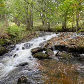 The Cattie Burn on Ballogie Estate is an important tributary of the Dee, for the spawning of Atlantic salmon and as a nursery for young fish.