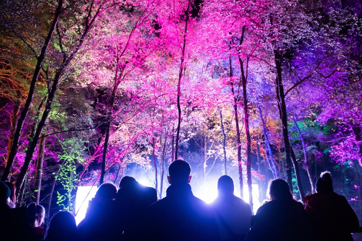 How Scotland's longest-running sound and light show has grown to be worth more than £10m to the economy