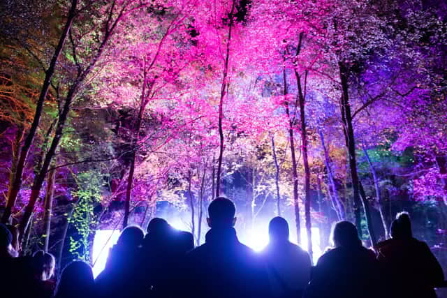 The Enchanted Forest sound and light show is now said to be worth £10.38m to the Highland Perthshire economy. Picture: Lesley Martin