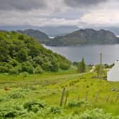 A croft in Torridon, main, perhaps not so far from Rory Putman’s fictional Lochuisge. Credit: Getty
