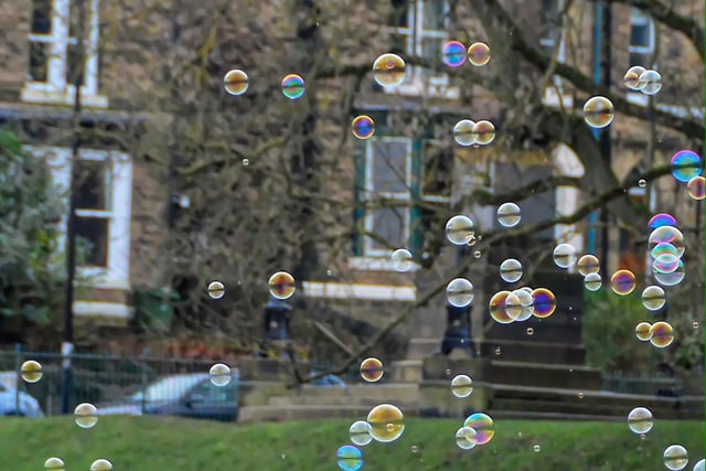 Bubbles In Endcliffe Park taken by @RKW1899