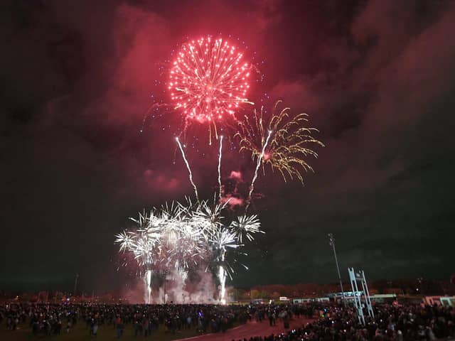 Should fireworks now be limited to organised displays only?