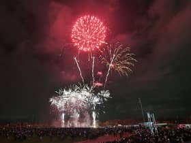 Should fireworks now be limited to organised displays only?