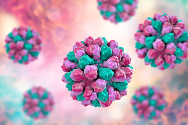 Norovirus symptoms usually occur quite suddenly within 24 to 48 hours after contracting the bug, although they can appear as early as 12 hours after exposure in some cases.