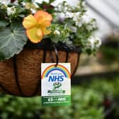 Staff at a garden centre prepare to reopen to the public in May 2020 (Photo: Jeff J Mitchell/Getty Images)