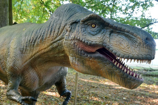 Dinosaurs ranging from T-Rex to Triceratops, apatosaurus and ankylosaurus all feature - how many could you identify?