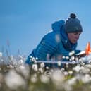 Professor Isla Myers-Smith monitors vegetation on Qikiqtaruk-Herschel Island in the Canadian Arctic (Picture: Jeffrey Kerby)