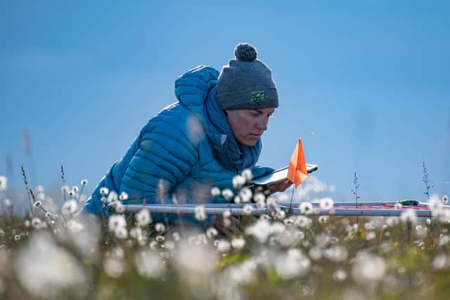 Professor Isla Myers-Smith monitors vegetation on Qikiqtaruk-Herschel Island in the Canadian Arctic (Picture: Jeffrey Kerby)