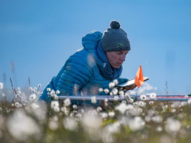 Professor Isla Myers-Smith monitors vegetation on Qikiqtaruk-Herschel Island in the Canadian Arctic (Picture: Jeffrey Kerby)