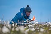 Professor Isla Myers-Smith monitors vegetation on Qikiqtaruk-Herschel Island in the Canadian Arctic (Picture: Jeffrey Kerby)