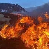 Wildfires threaten habitat, wildlife, forestry, property and crops