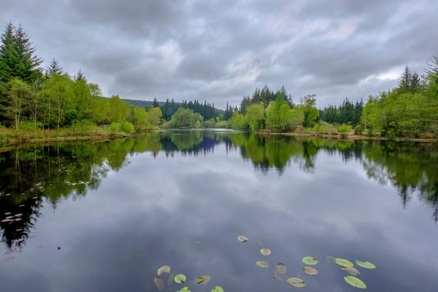 Another vast wooded wilderness, Galloway Forest Park, in the south west of Scotland near Newton Stewart, is the largest forest park in the UK. Perhaps best-known for its status as a recognised dark sky park, it's also glorious to visit during the day. Look out for red deer and wild goats as you admire the colourful foliage.