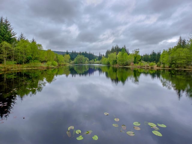 Another vast wooded wilderness, Galloway Forest Park, in the south west of Scotland near Newton Stewart, is the largest forest park in the UK. Perhaps best-known for its status as a recognised dark sky park, it's also glorious to visit during the day. Look out for red deer and wild goats as you admire the colourful foliage.