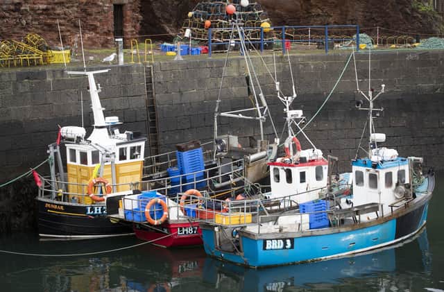 Exports of fresh fish and seafood to the European Union have been severely disrupted by delays since the end of the Brexit transition period (Picture: Jane Barlow/PA Wire)