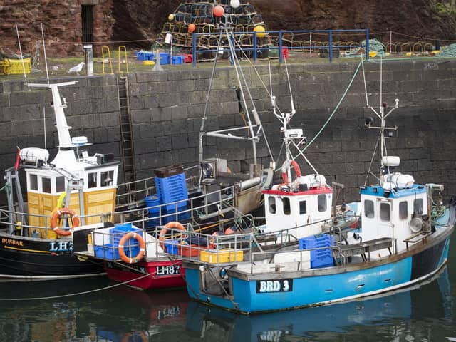 Exports of fresh fish and seafood to the European Union have been severely disrupted by delays since the end of the Brexit transition period (Picture: Jane Barlow/PA Wire)
