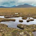 The Flow Country is renowned for its peatlands  (Photo by Jeff J Mitchell/Getty Images)