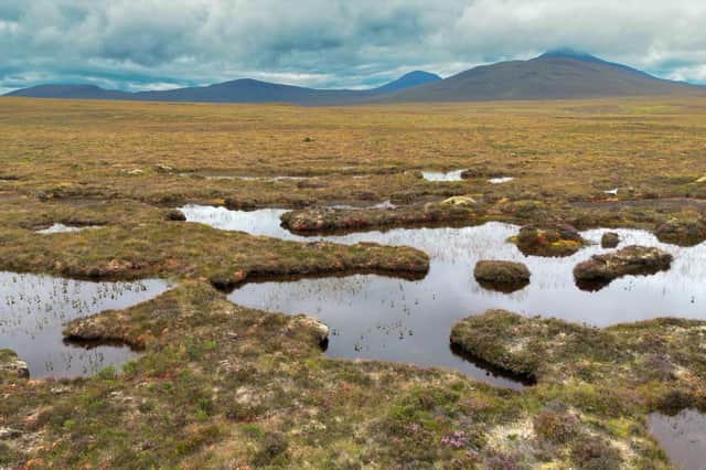 The Flow Country is renowned for its peatlands  (Photo by Jeff J Mitchell/Getty Images)