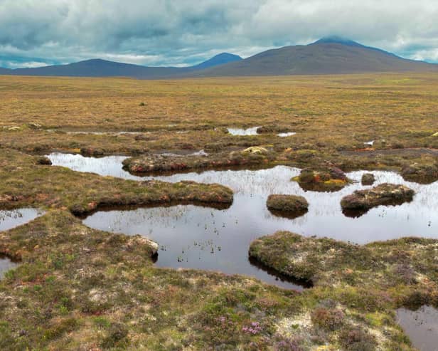 The Flow Country is renowned for its peatlands  (Photo by Jeff J Mitchell/Getty Images)