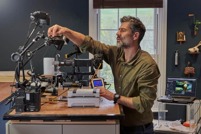 Levon Biss, extreme macro photographer specilaizing in insect and botanical subjects.