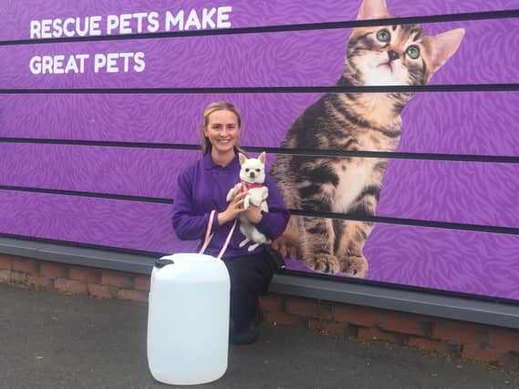 The Scottish SPCA's care assistant, Heather, with Kaz the chihuahua, one of the many animals being cared for by the charity during the pandemic. Picture: Scottish SPCA