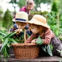 If you're a parent or guardian then home gardening is a great activity to try out with your wee one. Early Learning Furniture reports: "Gardening engages all sorts of senses and helps children to develop and recognise them without even realising."