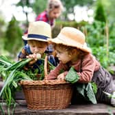 If you're a parent or guardian then home gardening is a great activity to try out with your wee one. Early Learning Furniture reports: "Gardening engages all sorts of senses and helps children to develop and recognise them without even realising."