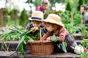 If you're a parent or guardian then home gardening is a great activity to try out with your wee one. Early Learning Furniture reports: "Gardening engages all sorts of senses and helps children to develop and recognise them without even realising."