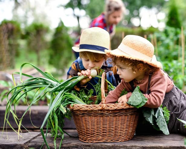 If you're a parent or guardian then home gardening is a great activity to try out with your wee one. Early Learning Furniture reports: "Gardening engages all sorts of senses and helps children to develop and recognise them without even realising."