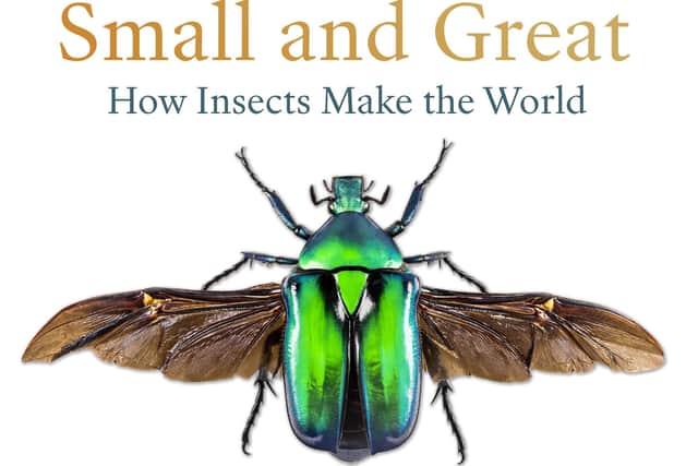 Dr George McGavin's audiobook All Creatures Small and Great: How insects make the world is out now and available via Audible, Apple and Google Play