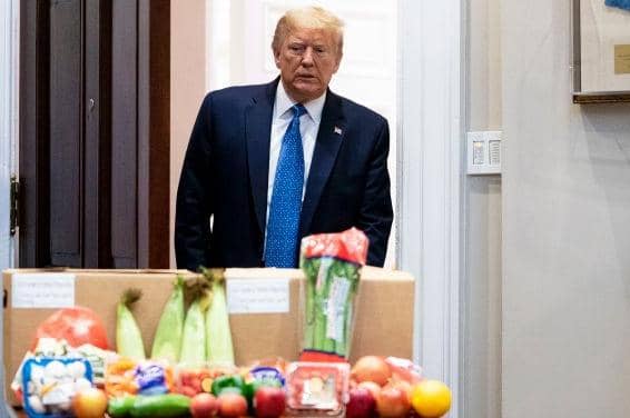 Some senior citizens may be messing up the world but many others are helping out in the community, says reader (Picture: Doug Mills/The New York Times-Pool/Getty Images)