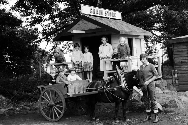 Youngsters ride around the Children's Farm at Edinburgh Zoo in a pony cart in 1963.