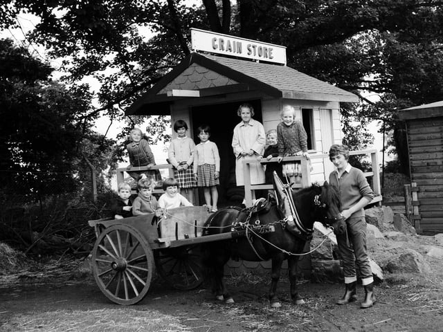 Youngsters ride around the Children's Farm at Edinburgh Zoo in a pony cart in 1963.