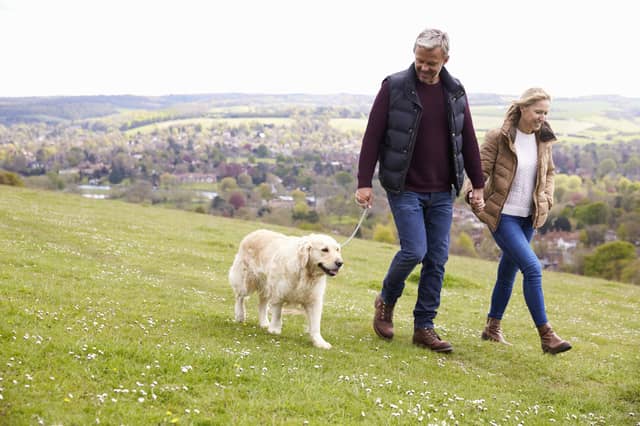 Scottish SPCA has warned of the effect lockdown life may be having on our pets. Picture: Getty