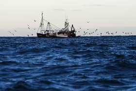 RSPB Scotland wants to tackle the accidental capture of seabirds by fishing vessels